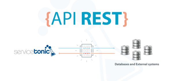 ¿qué Es Una Api Definición Y Ejemplos Servicetonicemk 2623